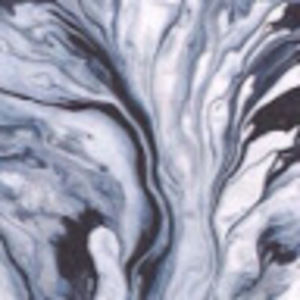 Meet your Posher, Sg - 11eb -